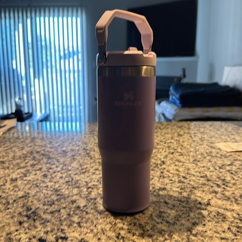 30oz purple Stanley cup